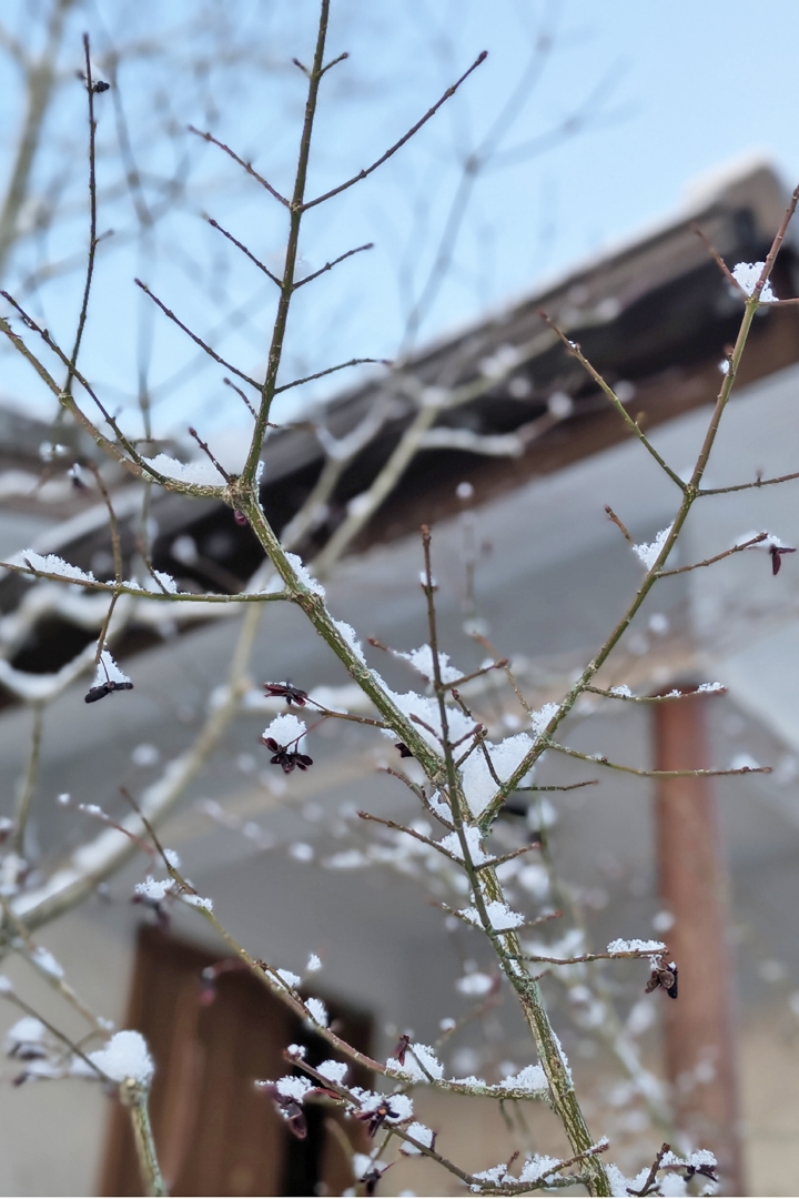 雪景色2